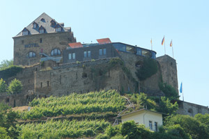 Burg oberhalb eines Weinbergs am Mittelrhein